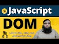 Master JavaScript DOM: How to Link HTML, CSS, and JavaScript Files | Class 36.