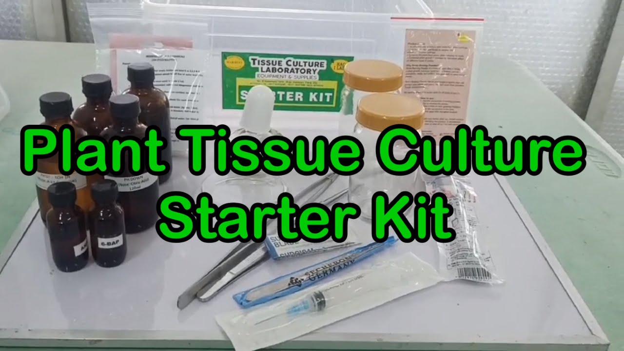 DIY Plant Tissue Culture Lab Set Up: Plant Tissue Culture Starter Kit ...