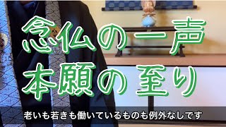 【お座敷】春の黄砂で視界不良/朗読にゃん法話08