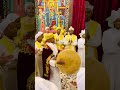 ይዌድስዋ መላእክት 2 ለማርያም ethiopian habesha mezmur orthodoxmezmur