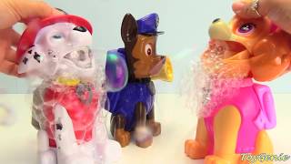 Paw Patrol Makes Bubbles Skye, Chase, Marshall