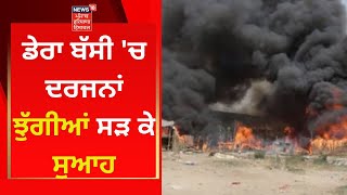 Dera bassi News : ਡੇਰਾ ਬੱਸੀ 'ਚ ਦਰਜਨਾਂ ਝੁੱਗੀਆਂ ਸੜ ਕੇ ਸੁਆਹ | News18 Punjab