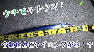 【激ムズ】バラシまくり？！横須賀の堤防から電気ウキでタチウオを狙う！！