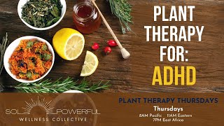 Plant Therapy for ADHD, Plants to Soothe ADHD Symptoms