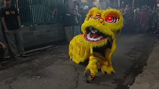 Atraksi Barongsai Karnaval ruwahan 3 di Yosorejo Kuripan