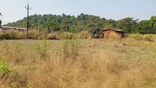 9850325472  Plot for sale at karjat # 33 Guntha  20 km from karjat # 1.5 lacs per guntha # नेगोतीबळे