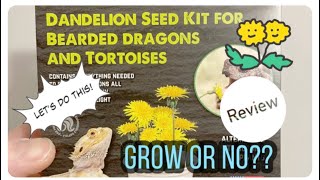 Trying out Dandelion seed kit for Bearded Dragons \u0026 Tortoises, will it grow?!  Review Time!