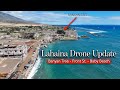 Lahaina DRONE Update - September 2024 - Banyan Tree, Front St., Baby Beach Area