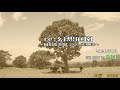 re 幻想庭園（gensoteien 岡山後楽園 okayama korakuen 2020年夏トモローネバーノーズショー031（2020年８月８日撮影）