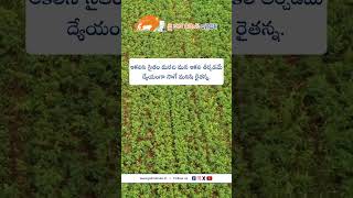 JHK Farmer Quote | Motivational quotes Telugu II Inspirational Quotes II Telugu Quotes  @JaiHoKisan