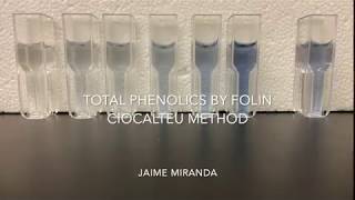 Total Phenolics by Folin Ciocalteu - Jaime Miranda