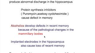 Hippocampus and memory