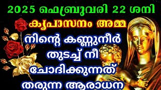 കൃപാസനം അമ്മ നിന്റെ കണ്ണുനീർ തുടച്ച് നീ ചോദിക്കുന്നത് തരുന്ന ആരാധന/Kreupasanam today video/Jesus