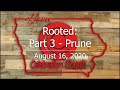 August 16, 2020, Rooted: Part 3 - Prune, Celebration Church, Waterloo, IA