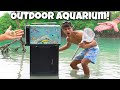 Catching EXOTIC FISH and INVERTEBRATES For My OUTDOOR AQUARIUM!!