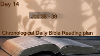 Day 14| Job 38 - 39 | Chronological Bible Reading Plan | NIV Audio Bible