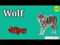 20 wild animals name in hindi and english जंगली जानवरों के नाम हिंदी और अंग्रेजी में kidsvideo