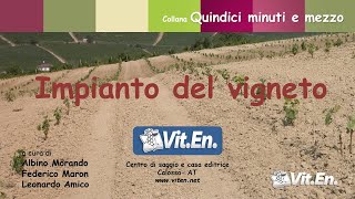 Impianto del vigneto - spianamento, scasso, messa a dimora di barbatelle e sostegni