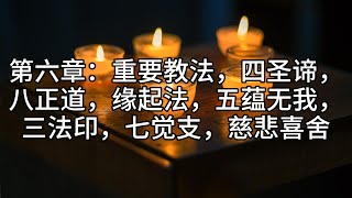 6.第六章：重要教法，四圣谛，八正道，缘起法，五蕴无我，三法印，七觉支，慈悲喜舍《佛陀传奇：从皇宫到涅槃的光明之路》