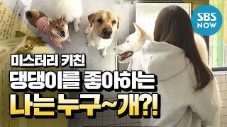 [백종원의 미스터리 키친] Ep.1 선공개 '댕댕이를 좋아하는 레드셰프는 누구일까요?' / 'Mystery Kitchen' Preview Clip