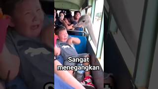 sangat menegangkan sekali #animals