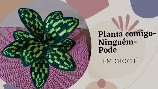 Planta comigo-ninguém-pode em crochê