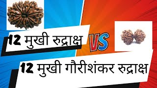 12 mukhi vs 12 mukhi Guarishankar 12 मुखी बनाम 12 मुखी गौरीशंकर रुद्राक्ष