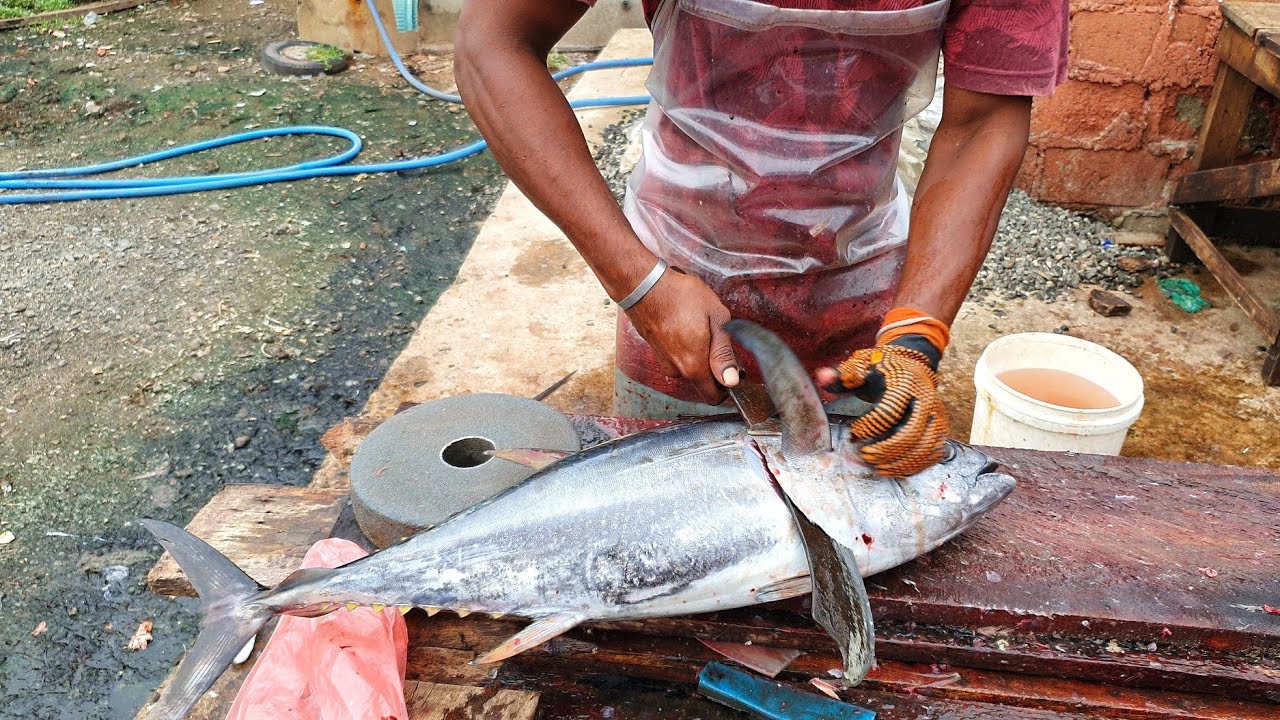 Amazing Skill Superb Yellowfin Tuna Cutting Skills Youtube