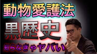 【動物愛護法の歴史】こうして日本は動物愛護後進国になった