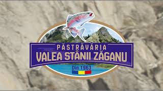 Pastravaria Valea Stanii Zaganu