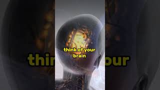 How the Brain Works