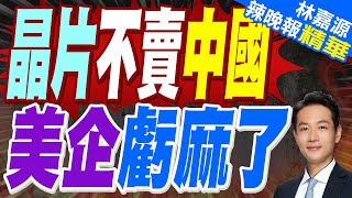 美國科技巨頭 呼籲川普政府調整芯片出口管制｜晶片不賣中國 美企虧麻了｜郭正亮.蔡正元.帥化民深度剖析?【林嘉源辣晚報】精華版  @中天新聞CtiNews