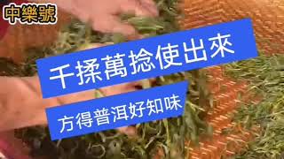 普洱茶为什么要揉捻？什麼是普洱茶揉捻？揉捻對普洱茶品質的影響