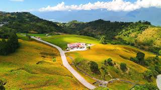 [空拍4K]花蓮，玉里鎮，赤科山金針花， #赤科山 #金針花 #drone #空拍 #djiair3 #玉里