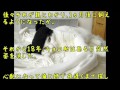 【感動する話】猫のキョロ助は何かくわえてヨロヨロ歩いてた