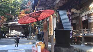 【秩父】岩畳、不動寺、宝登山神社　2022/11