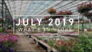 PETITTI July Whats In Store