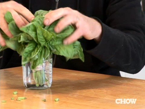 How to Store Basil – CHOW Tip