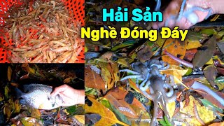 Đóng và Tháo Đáy Cách Ngư Dân Đánh Bắt Hải Sản | Gia Đình Cần Giờ .456 |