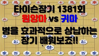 [타이슨장기 1381회] 기물 상납하는 고급스킬 배워보죠!!