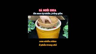 cà muối chua lên men tự nhiên#bepcuavo #food #cooking #amthuc #monngonmoingay #chetroinuoc