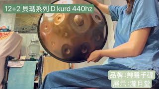 手碟 Handpan 12+2 貝瑪系列D Kurd D小調440hz