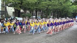 ほにや／NHK前ケヤキ並木通り／原宿表参道元氣祭スーパーよさこい2015（初日）