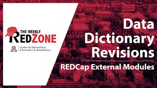 REDZone - Data Dictionary Revisions
