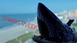 Shark Weekend! 🦈 Sky-Byte and Fren-Z review