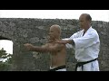 okinawa karate uechi ryu