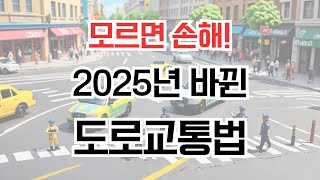 모르면 손해! 2025년에 바뀐 도로교통법 총정리