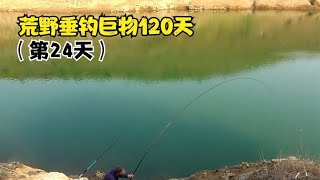 荒野垂钓120天 第24天，鱼情依旧稳定 准备迎接下一批钓友