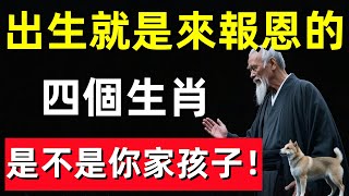 出生就是來報恩的四個生肖，快看是不是你家孩子！#修行思維 #修行 #福報 #禪 #道德經 #覺醒 #開悟 #禅修