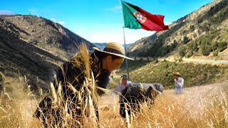 Portugal’s Hidden Gem: Serra Da Estrela’s Natural Wonders